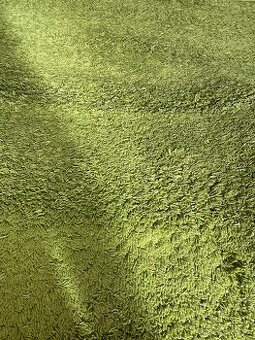 Predám zelený koberec.