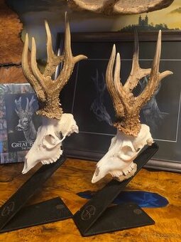 Predám trofej rekordného srnca zo Španielska