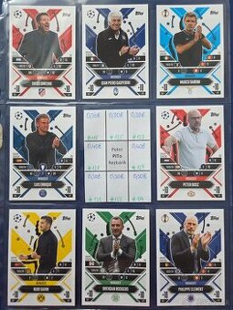 Fotbalove karticky TOPPS, Panini, cast 2/2