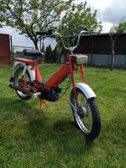 Babetta 207