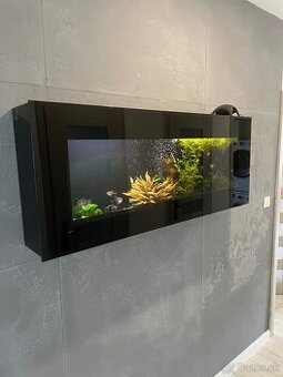 Nástenné akvarium