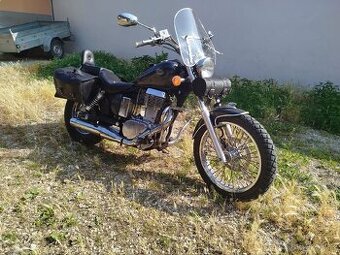 Savage LS 650