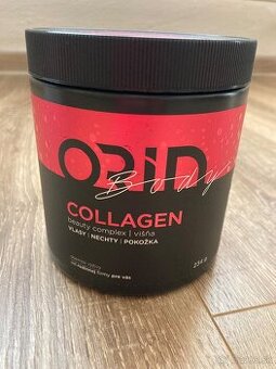 Orin Body
