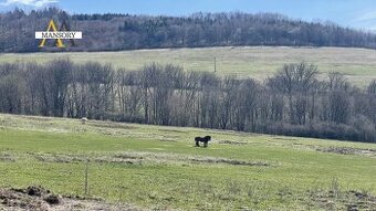 Na predaj stavebný pozemok pod Rodinný dom - 1