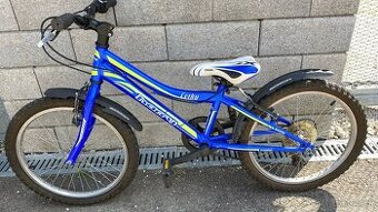 Detsky bicykel Harry Corky - velkost kolies 20"