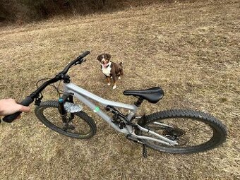 Specialized stumpjumper