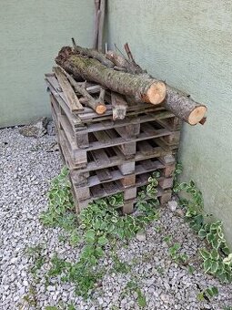 Darujem drevo