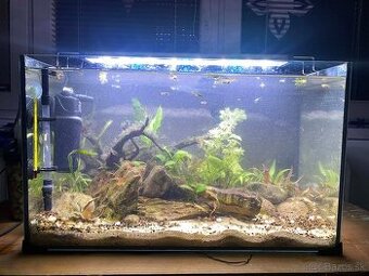 Akvarium 50x30x25