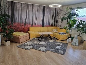 Predam tapetu a koberec.