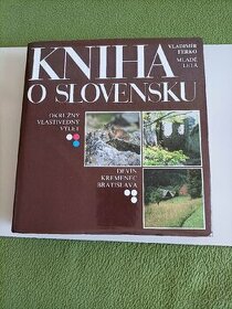 Kniha o Slovensku - 1