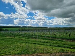 Nízka cena - stavebný pozemok - Čifáre 1753m2