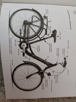 Damsky mestsky bicykel RITA 2.0