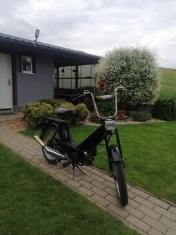 Babetta 207