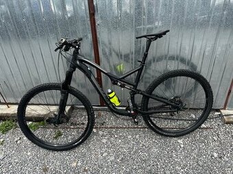 Specialized stumpjumper