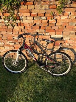 Bicykel DEMA ISEO