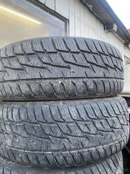 205/55 R16 Zimne