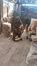 Drevorezba- medveď z dreva