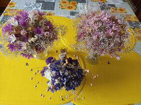 Sušené kvety (33) - Kytičky do vázičky.