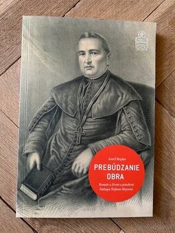 Prebúdzanie obra: román o živote biskupa Štefana Moysesa