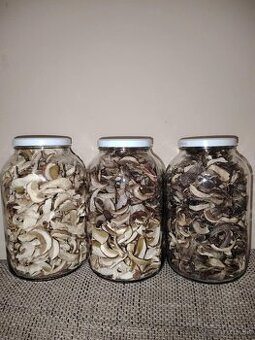 Sušené hríby, huby