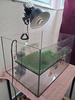 Akvárium pre korytnačky