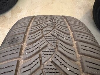 225/50 R17 zimne Goodyear