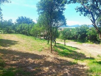 Vidiecka usadlosť s lesom 7714 m² Bánovce n.Bebravou