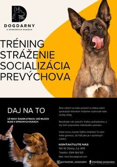 Hotel pre psov NITRA A OKOLIE- DOGDARNY