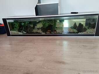 predám 380 litrové akvárium
