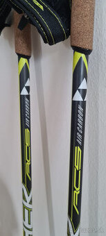 Palice Fischer RCS CARBON