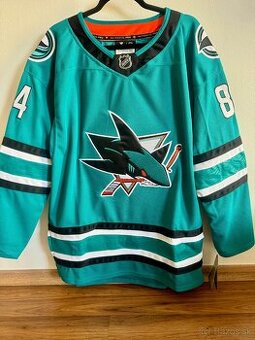 Pavol Regenda 84 San Jose Sharks