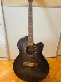 Elektroakustická gitara Ibanez AEL (TKS)