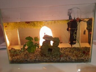 Akvárium s príslušenstvom