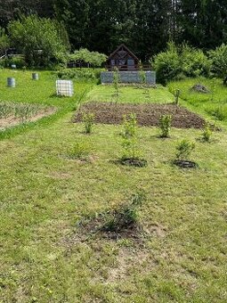 Záhrada na prenájom – Brezovec - 1