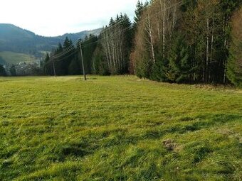 Pozemok 8e m2 plus mozna dohoda - 1