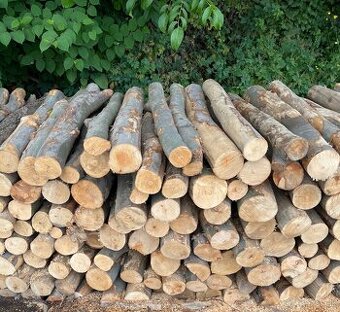 Kupim palivove drevo metrovica dub