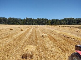 Slama,seno, pšenica jačmeň raž