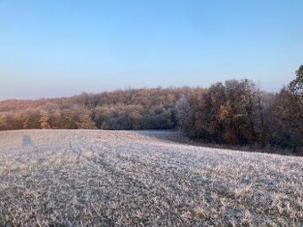 Lesný pozemok, lúky, trávnatý porast