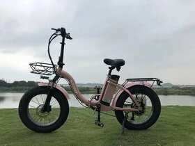 Damsky Elektricky bicykel - 1