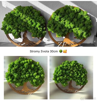 Strom života