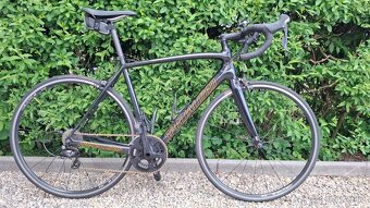 Specialized Tarmac SL4 Sport Sagan Superstar