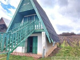 Dvojposchodová chatka s vinohradom na okraji obce Bátorov - 1