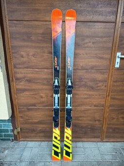 Fischer RC4  CURV, 171 cm