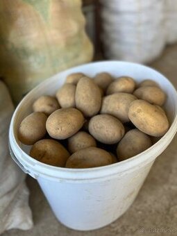 Predám zemiaky, odroda Soraya