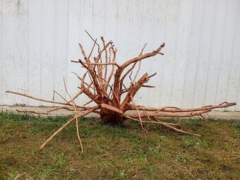 predam mohutny koren / samorast do akvaria