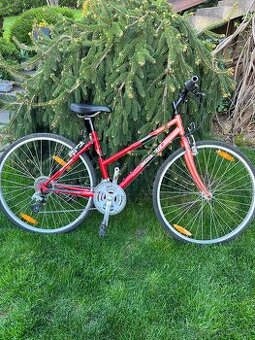 Dievcensky bicykel author
