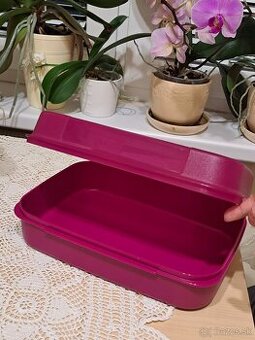 Tupperwarevelky labuznik
