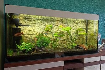 Akvárium Juwel Rio 240 biele + zadná 3D stena
