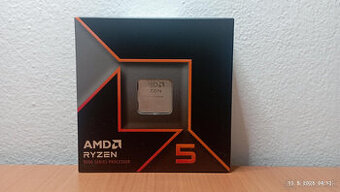 AMD Ryzen 5 9600X