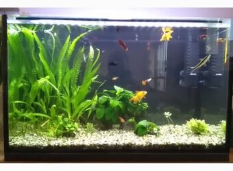 AKVÁRIUM 150 L